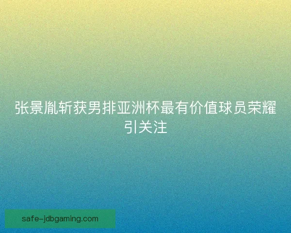 张景胤斩获男排亚洲杯最有价值球员荣耀引关注